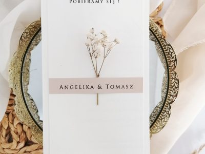 IMG_20250131_145149-02_resized_20250203_011829759