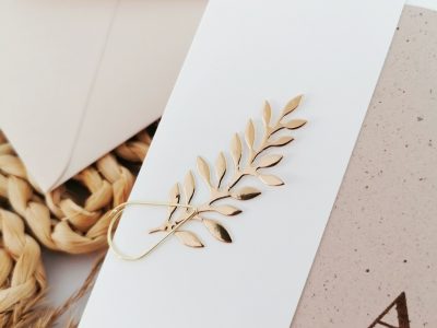 IMG_20250315_152713-01_resized_20250818_123421258